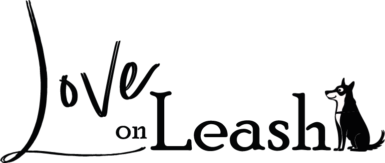 logo_noir